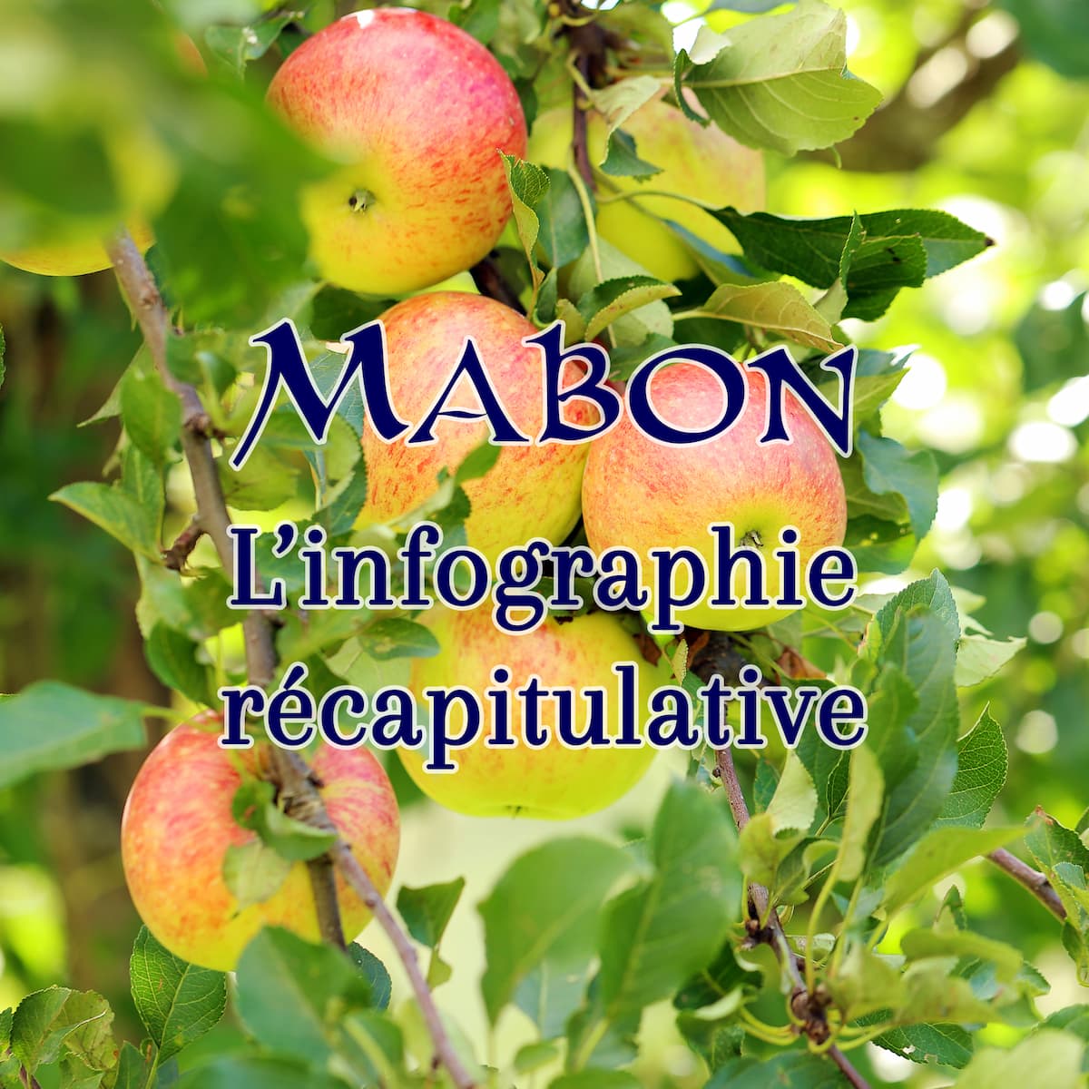 Imbolc infographie