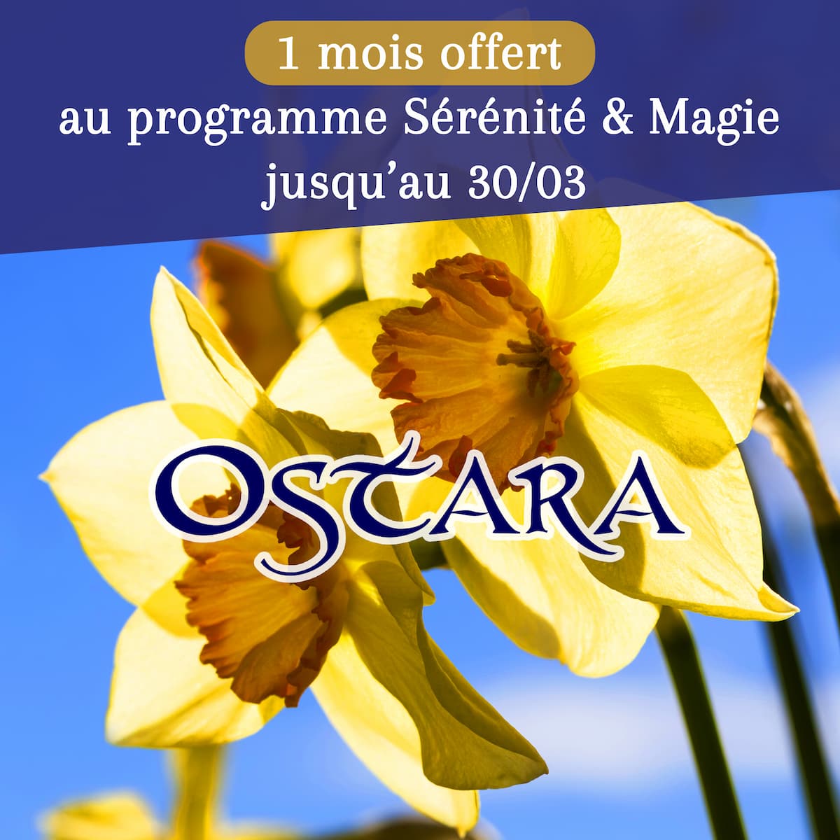 La Boussole d'Ostara