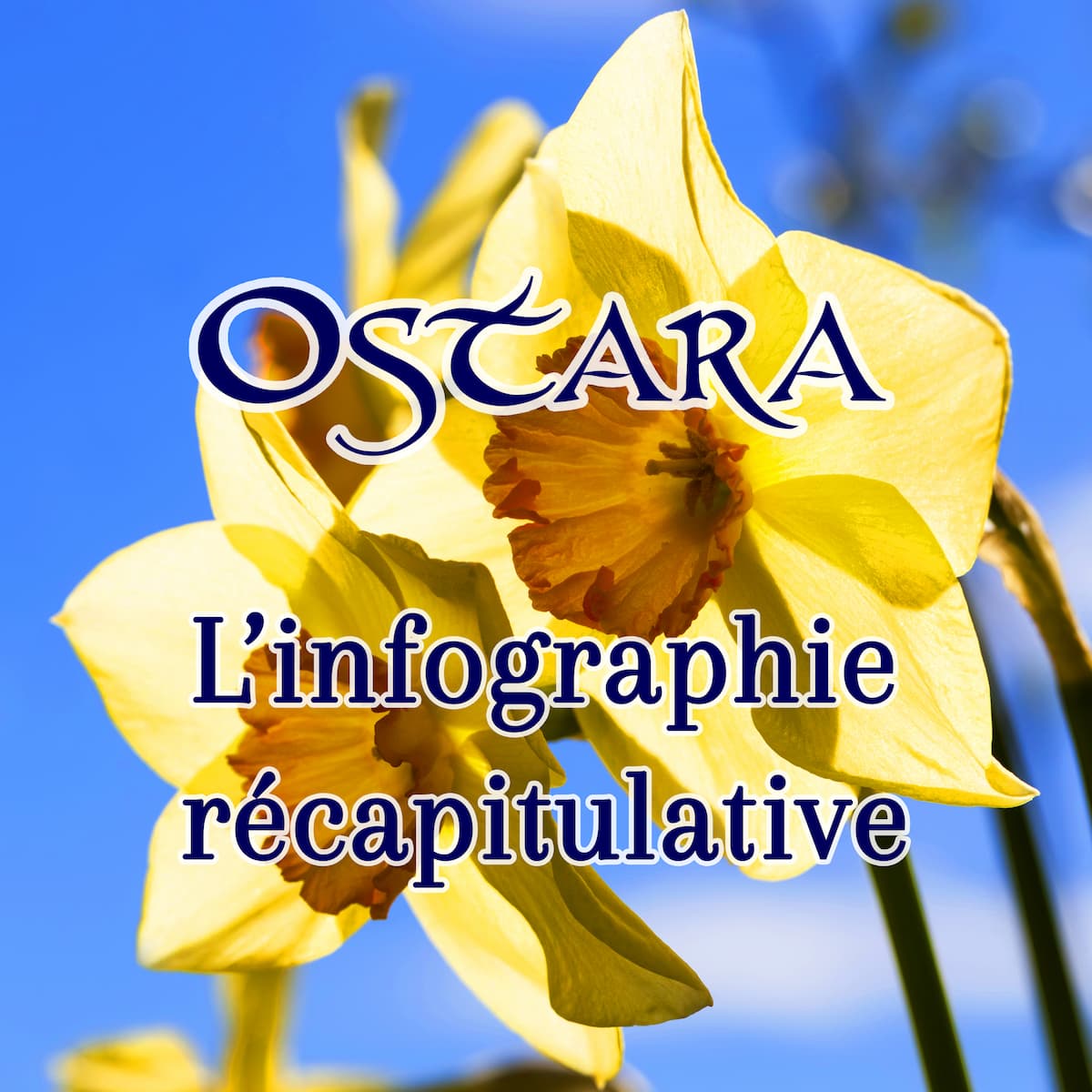Infographie Ostara