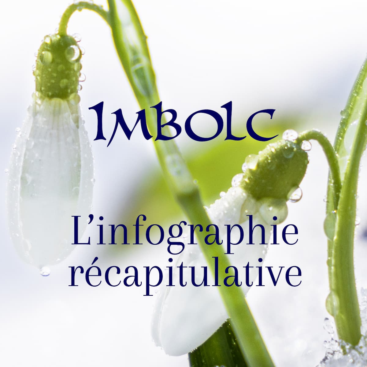 Imbolc infographie