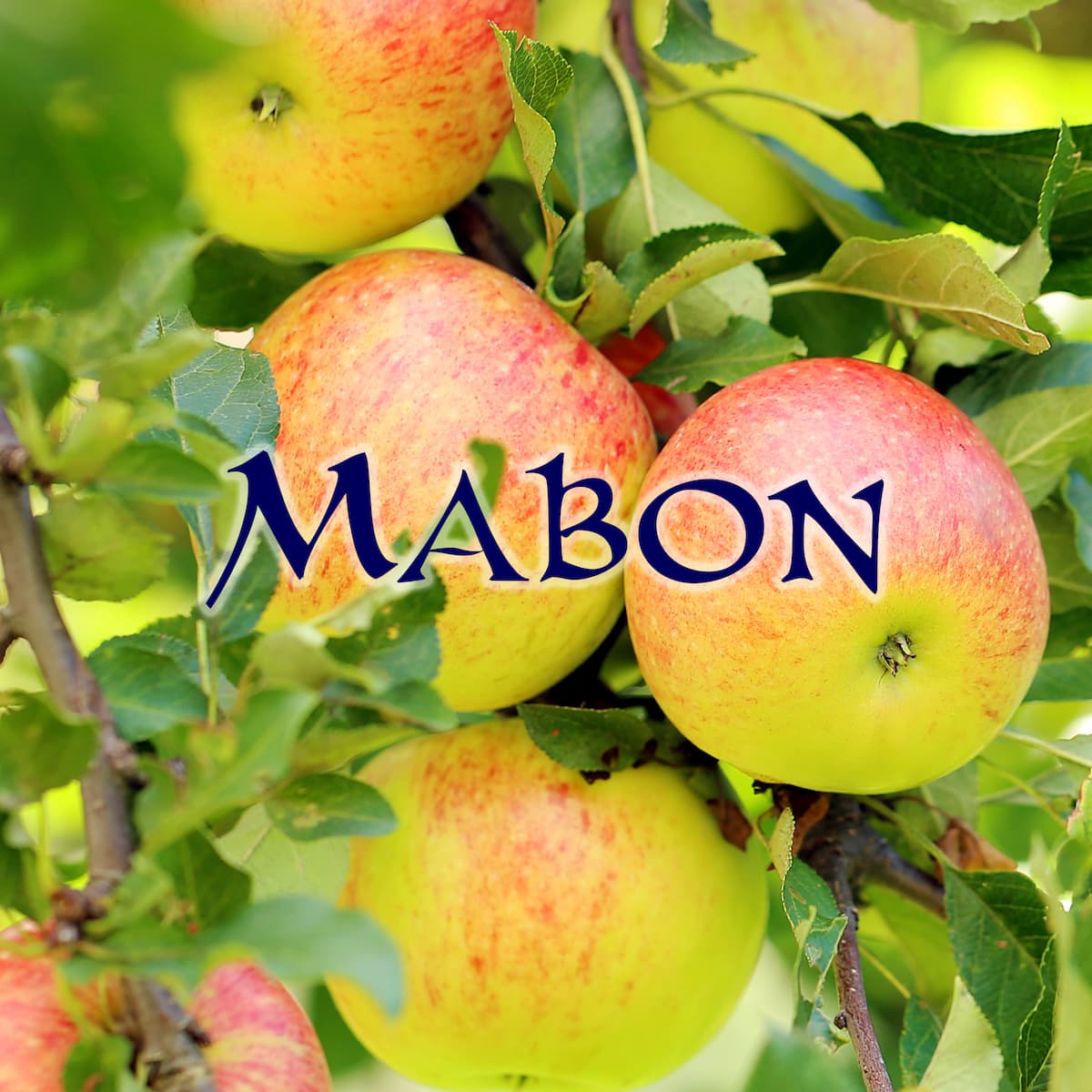 La Boussole de Mabon