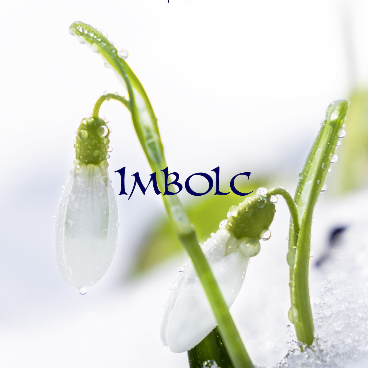 La Boussole d'Imbolc