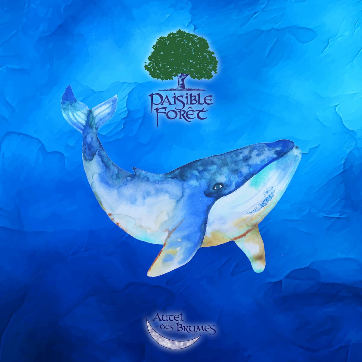 PURE HARMONIE méditation guidée image d'une baleine dans l'océan symbole de purification